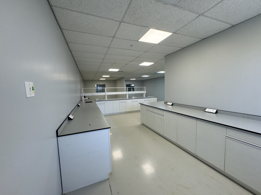 To Let commercial Property for Rent in Montague Gardens Western Cape